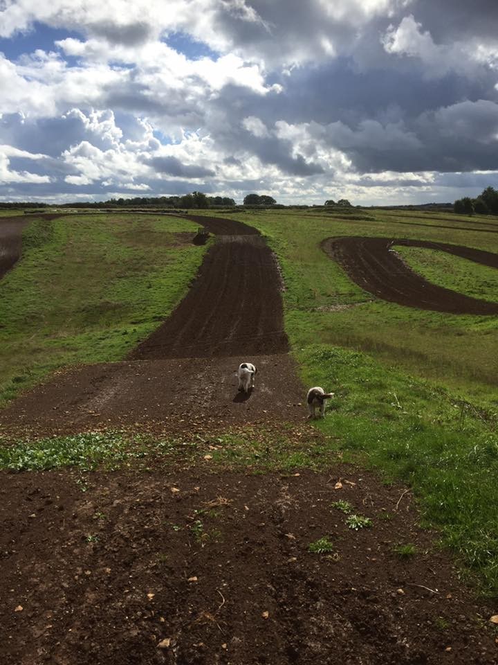 Frocester Motocross Track, click to close